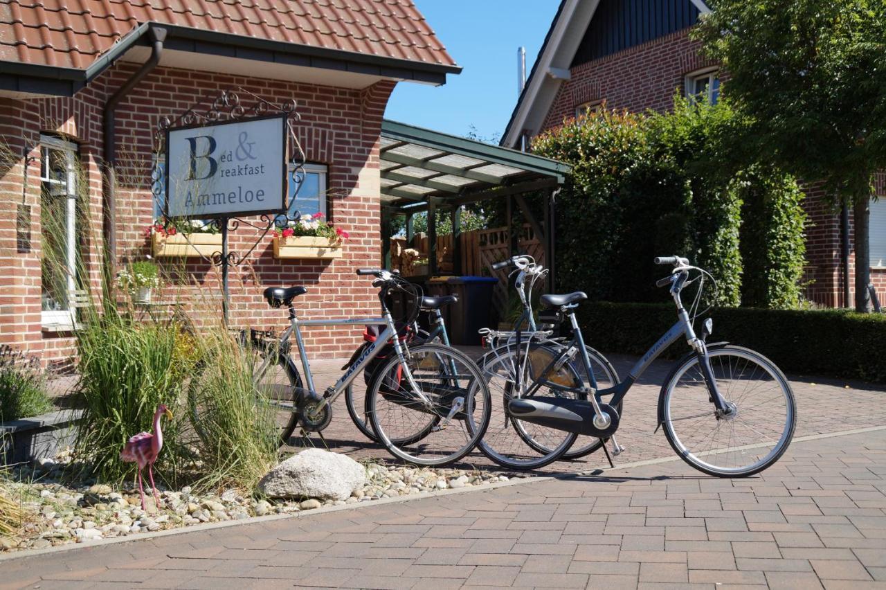 Bed And Breakfast Ammeloe Vreden Luaran gambar